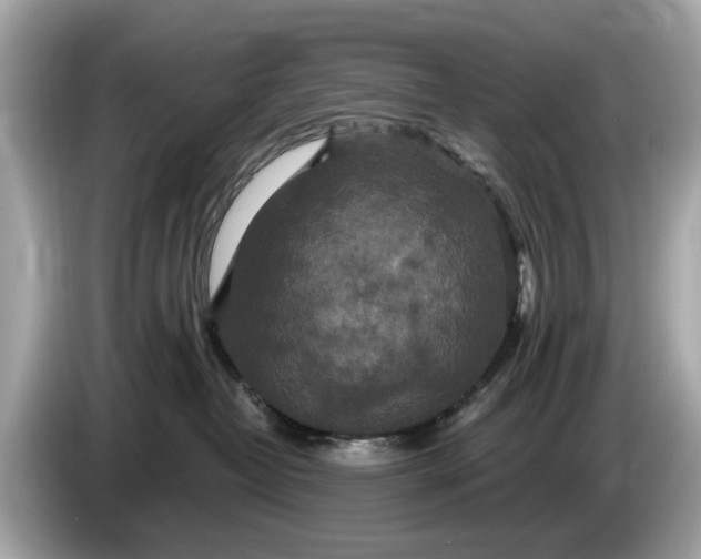 X0000085080382200703191330