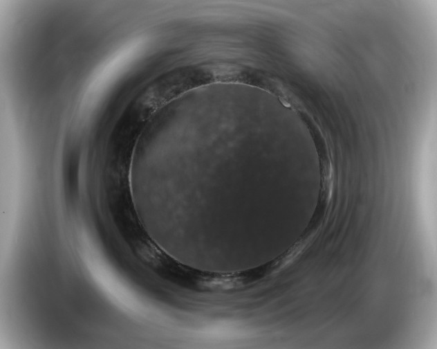 X0000085080383200703191330