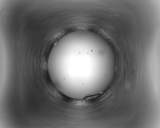 X0000085080384200703191330