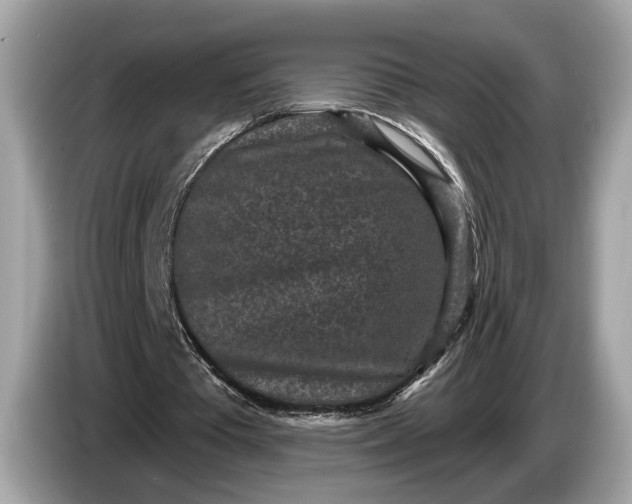 X0000085080385200703191329