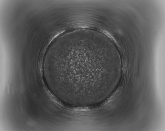 X0000085080386200703191329