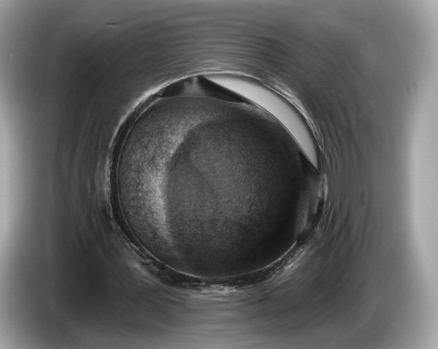 X0000085080387200703191329