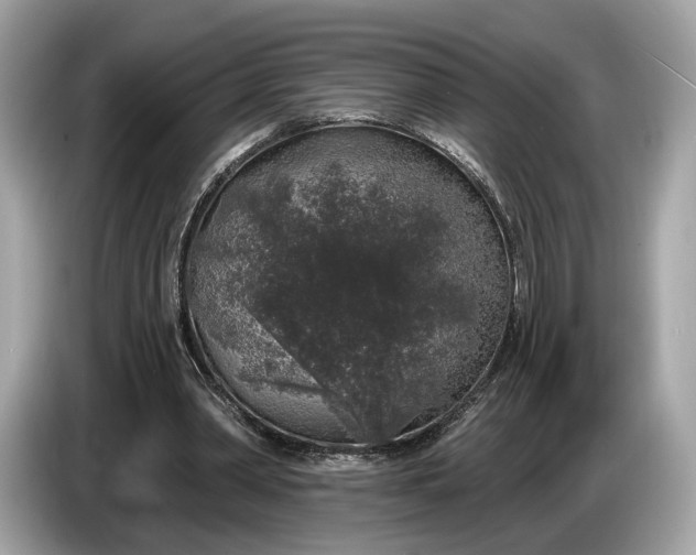 X0000085080390200703191329