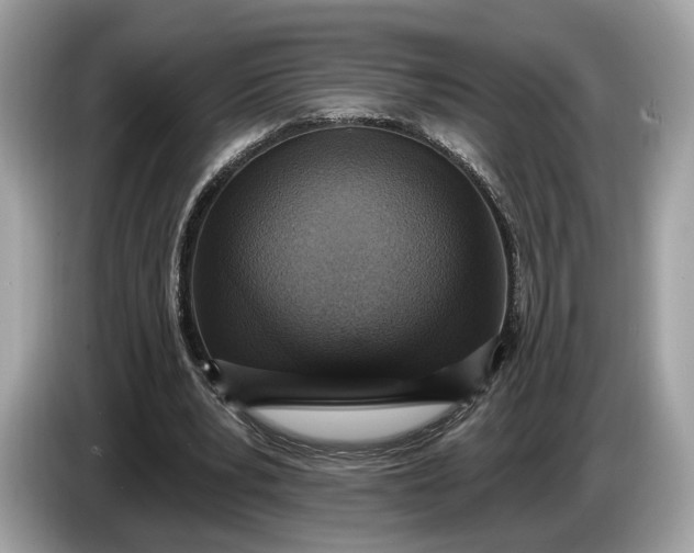 X0000085080391200703191329