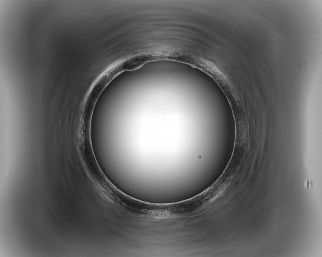 X0000085080392200703191329