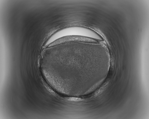 X0000085080393200703191329