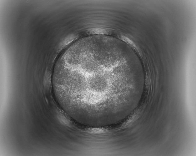 X0000085080394200703191329