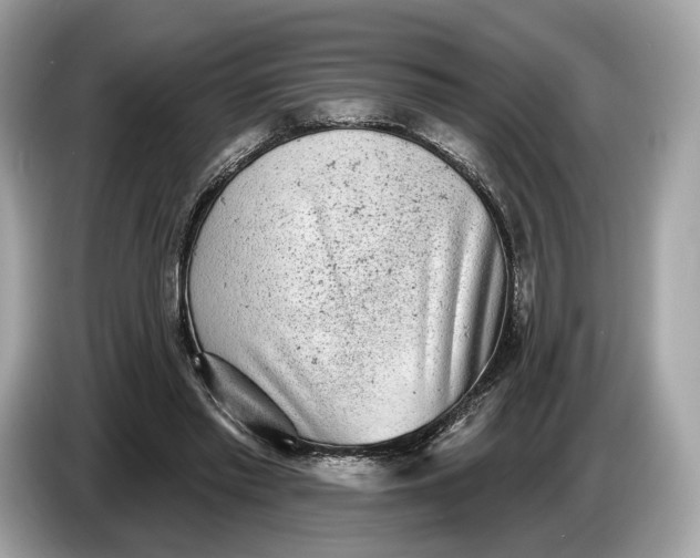 X0000085080397200703191329