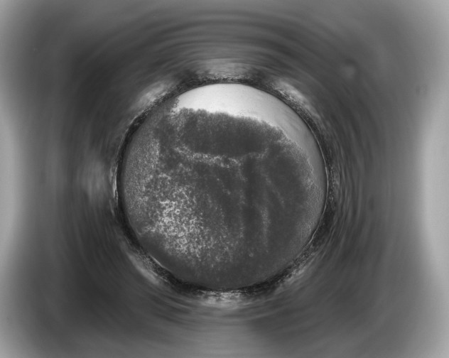 X0000085080398200703191329