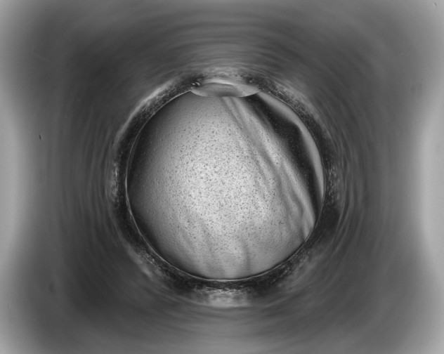 X0000085080400200703191329