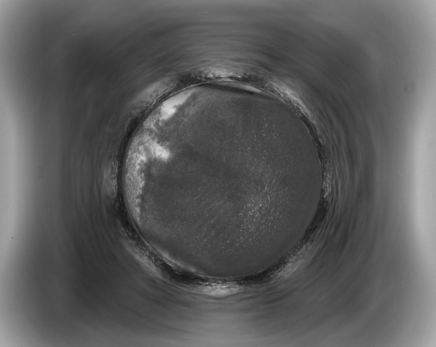 X0000085080402200703191329