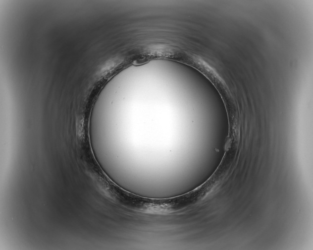 X0000085080403200703191329