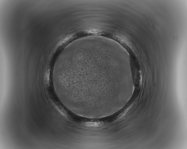 X0000085080404200703191329