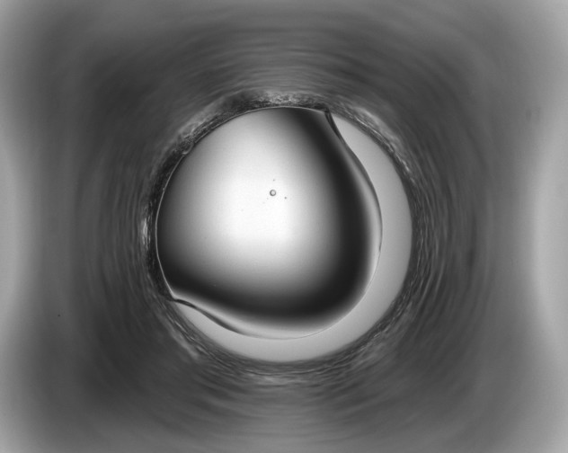 X0000085080405200703191329