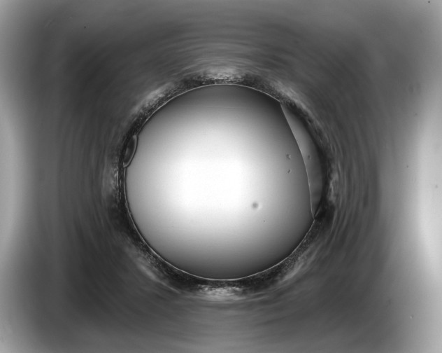 X0000085080407200703191329