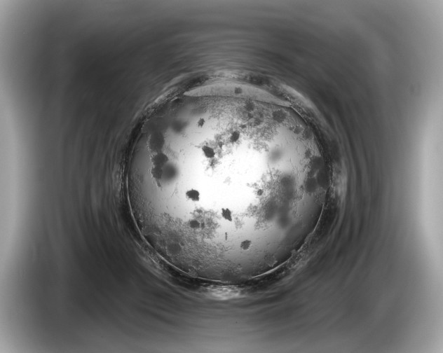 X0000085080409200703191329