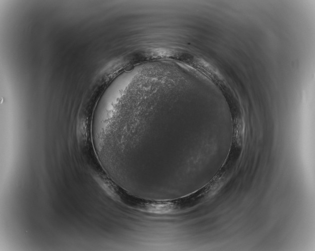 X0000085080410200703191329