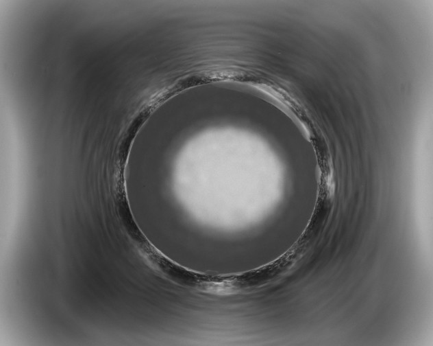 X0000085080411200703191329