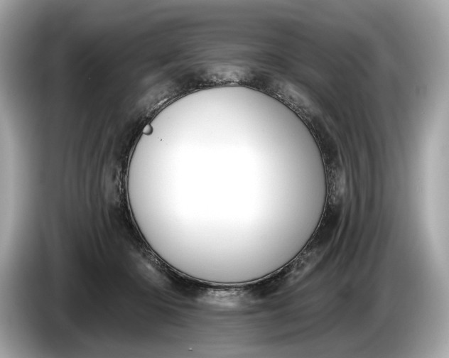 X0000085080414200703191329