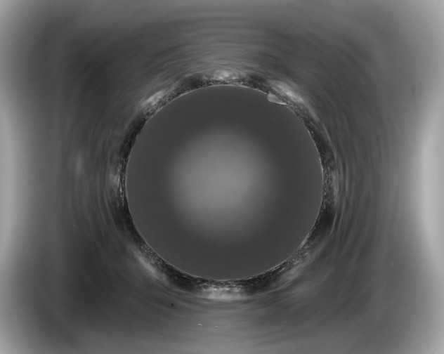 X0000085080415200703191329