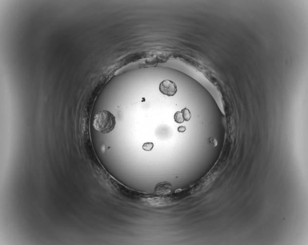 X0000085080417200703191329