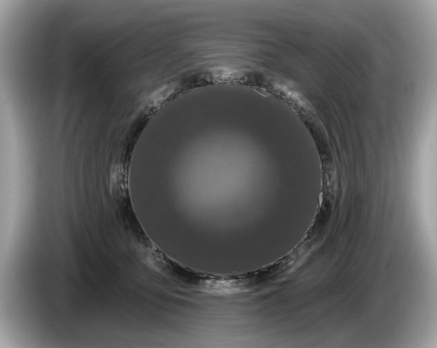 X0000085080419200703191329