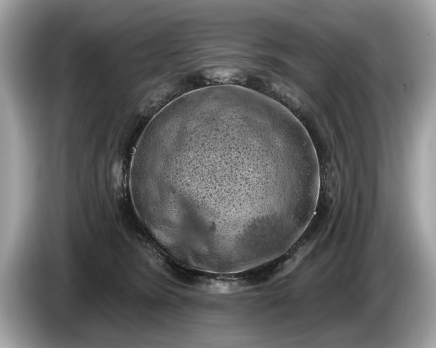 X0000085080420200703191329