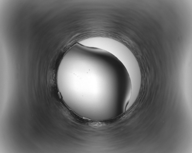 X0000085080421200703191329