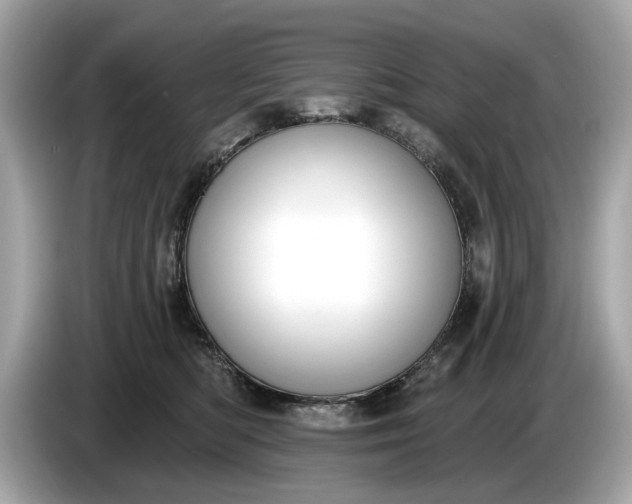 X0000085080422200703191329