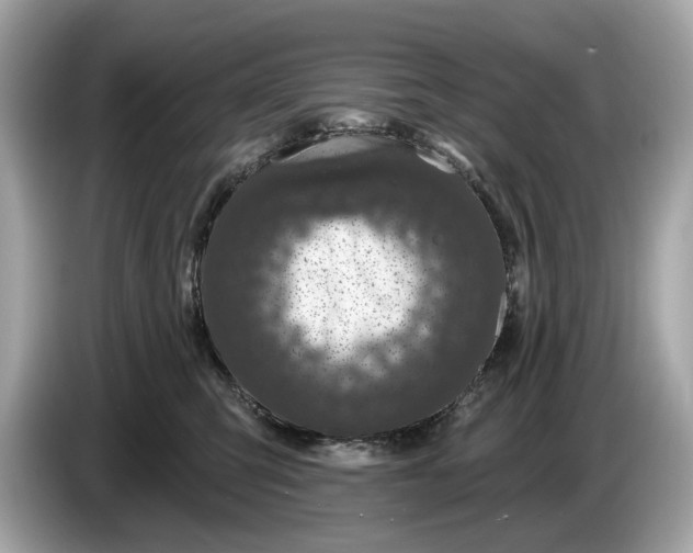 X0000085080423200703191329