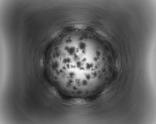 X0000085080424200703191329