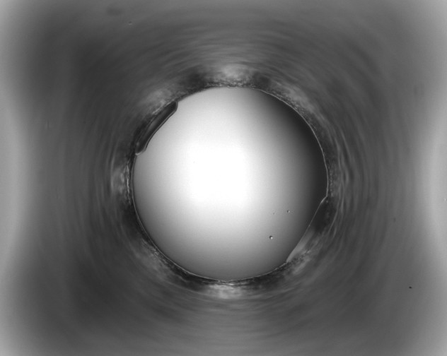 X0000085080425200703191328