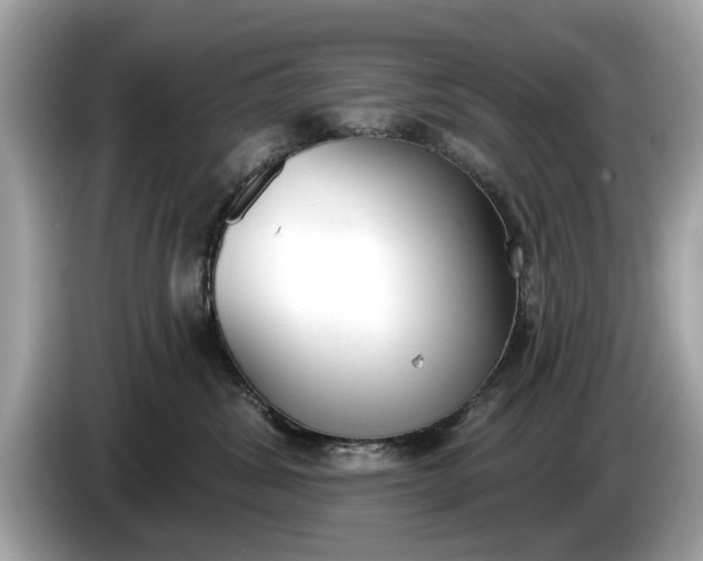 X0000085080428200703191328