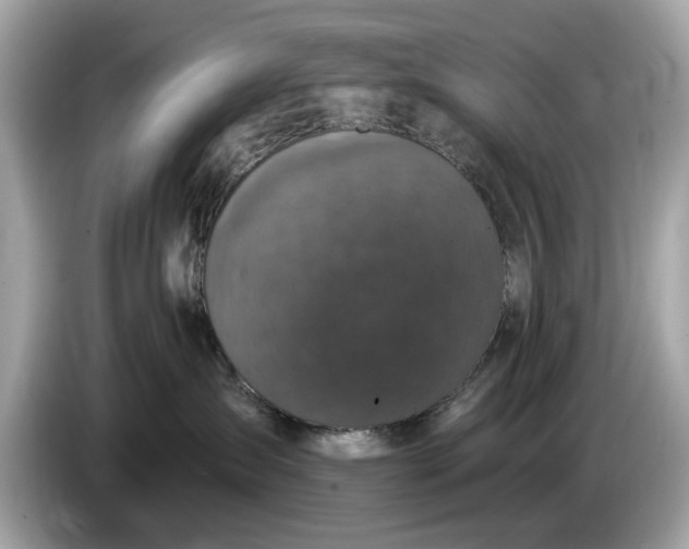 X0000085080431200703191328