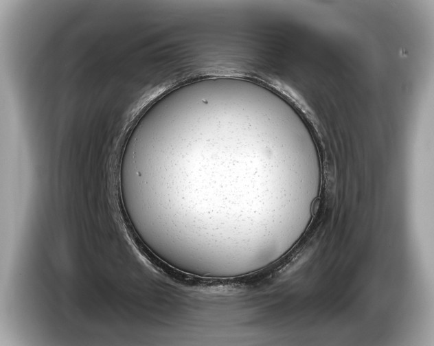 X0000085080433200703191328