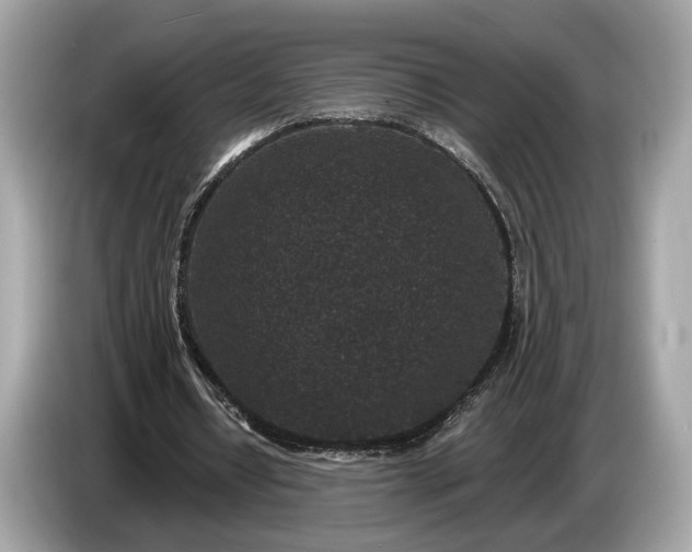 X0000085080434200703191328