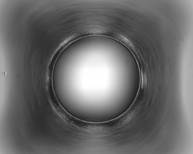 X0000085080435200703191328