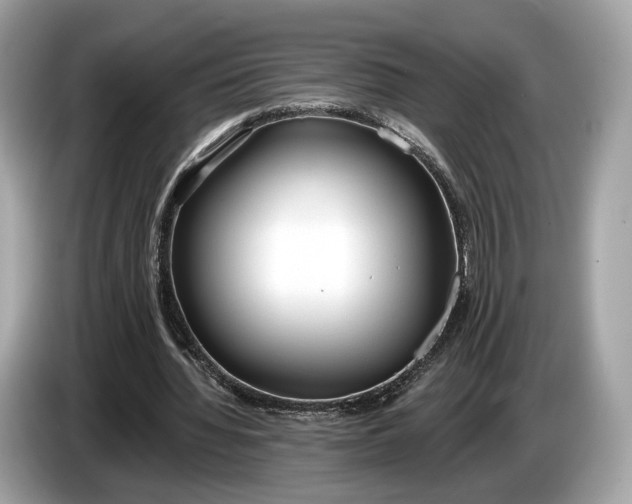 X0000085080436200703191328