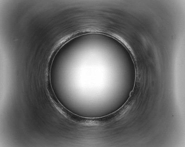 X0000085080437200703191328