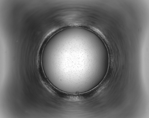 X0000085080439200703191328