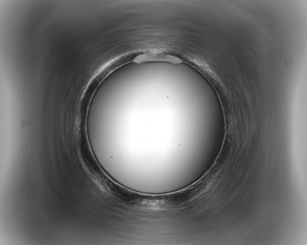 X0000085080440200703191328