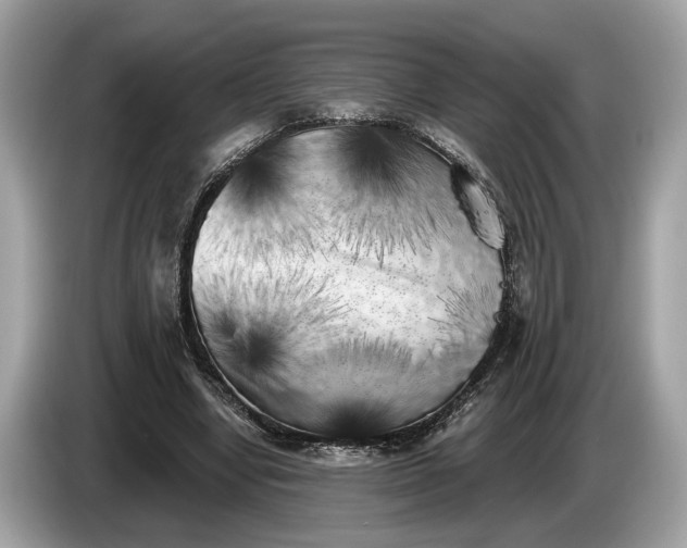 X0000085080442200703191328