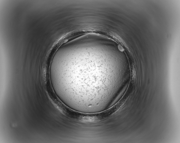 X0000085080444200703191328