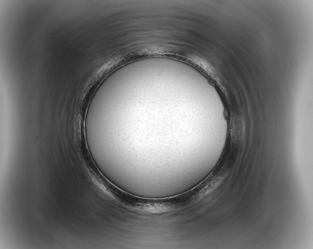 X0000085080445200703191328