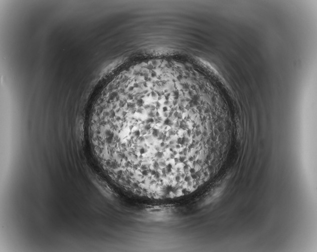 X0000085080447200703191328