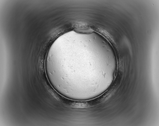 X0000085080449200703191328