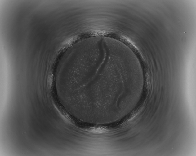 X0000085080451200703191328