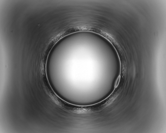 X0000085080453200703191328