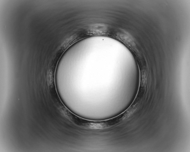 X0000085080457200703191328