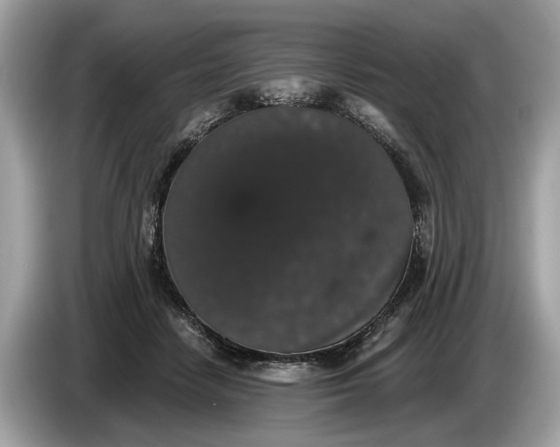 X0000085080458200703191328